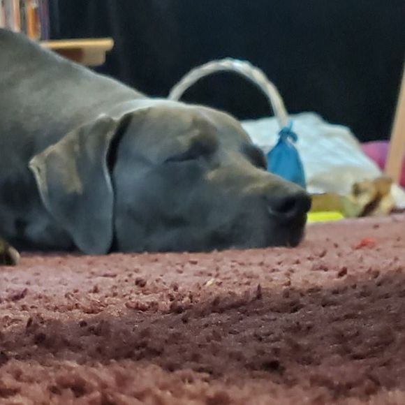 Meet your Posher, Eric - Picture 1 of 1